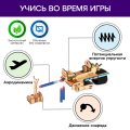 Лук в яблочко | 8-14 лет