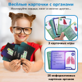 Человеческое тело | 6-10 лет