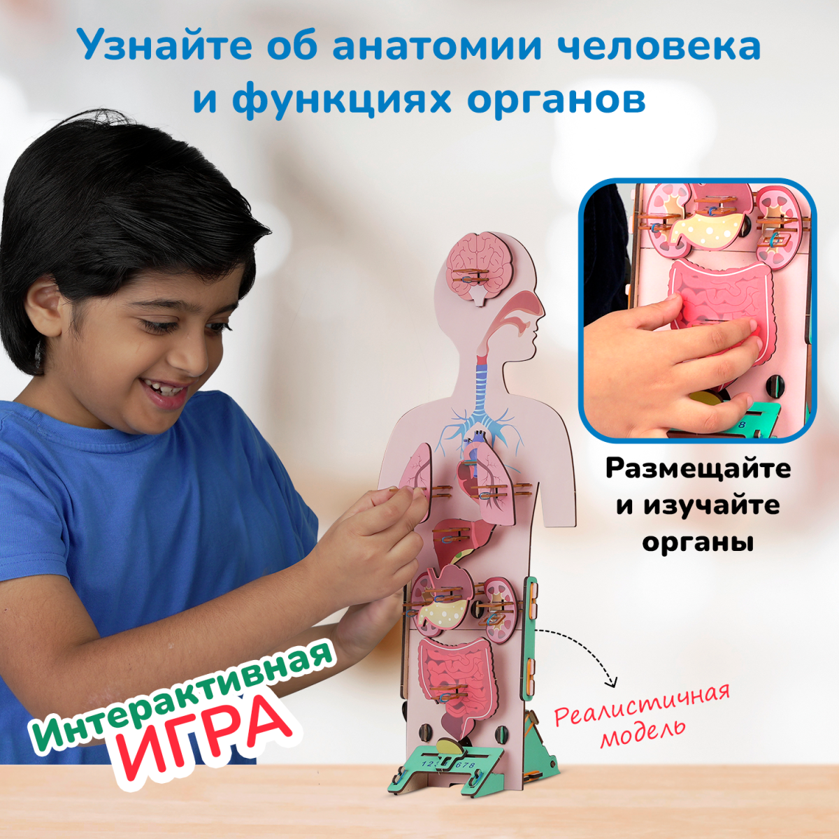 Человеческое тело | 6-10 лет